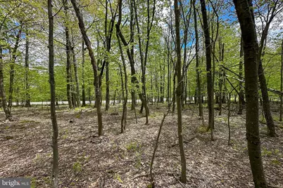 Lot 100 Snowhaven Lane, Mc Henry, MD 21541 - Photo 12