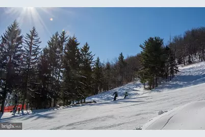 Lot 100 Snowhaven Lane, Mc Henry, MD 21541 - Photo 22