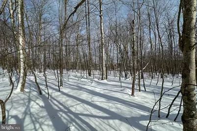 Lot 100 Snowhaven Lane, Mc Henry, MD 21541 - Photo 10