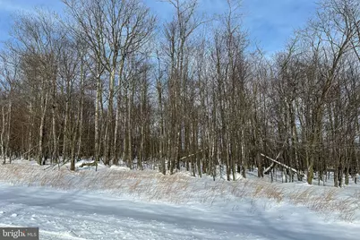 Lot 100 Snowhaven Lane, Mc Henry, MD 21541 - Photo 20