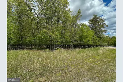 Lot 100 Snowhaven Lane, Mc Henry, MD 21541 - Photo 6
