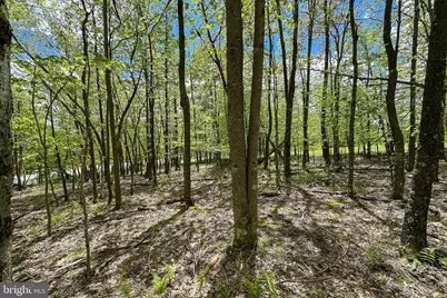 Lot 100 Snowhaven Lane, Mc Henry, MD 21541 - Photo 14