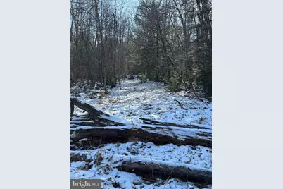 Mayhew Inn Road, Oakland, MD 21550 - Photo 20