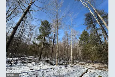 Mayhew Inn Road, Oakland, MD 21550 - Photo 22