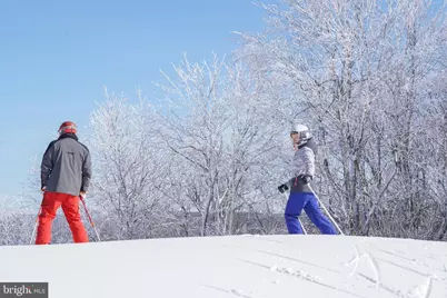 Lot 56 Rocky Camp Road, Mc Henry, MD 21541 - Photo 4