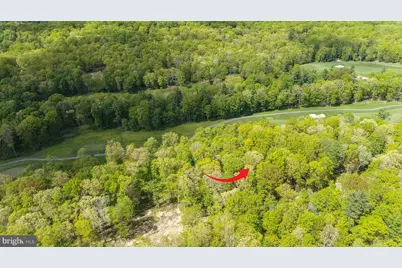 Lot 5 Azalea Way, Swanton, MD 21561 - Photo 2