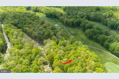 Lot 5 Azalea Way, Swanton, MD 21561 - Photo 6