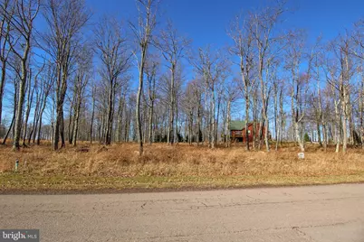 Lot 50 Biltmore Ridge Trail, Mc Henry, MD 21541 - Photo 4