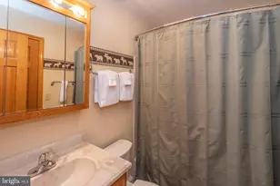 333 Sloan Tract Rd, Oakland, MD 21550 - Photo 20