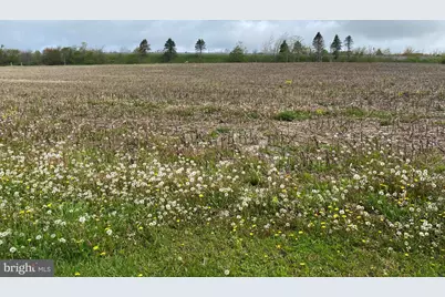 220 Diesel School Road, Accident, MD 21520 - Photo 4