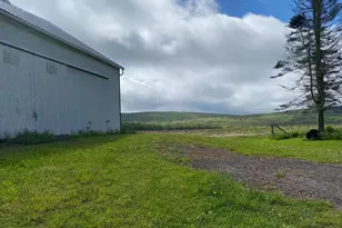 220 Diesel School Rd, Accident, MD 21520 - Photo 12