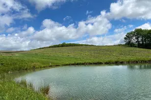 220 Diesel School Rd, Accident, MD 21520 - Photo 46