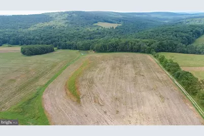 220 Diesel School Road, Accident, MD 21520 - Photo 80