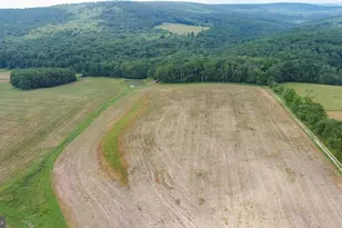 220 Diesel School Rd, Accident, MD 21520 - Photo 80