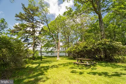 2895 Turkey Neck Road, Swanton, MD 21561 - Photo 6