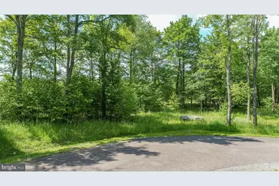 138 Taylor Lane, Mc Henry, MD 21541 - Photo 4