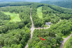 116 Chimney Rock Ln, Mc Henry, MD 21541 - Photo 62