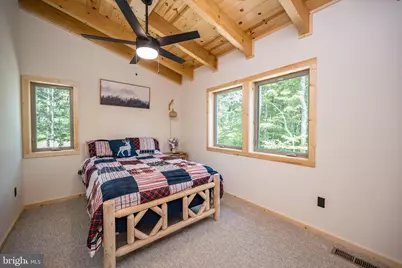 116 Chimney Rock Lane, Mc Henry, MD 21541 - Photo 32