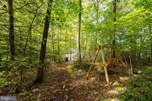 1019 Lake Shore Dr, Oakland, MD 21550 - Photo 70