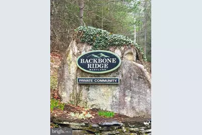 Lot 7 Backbone Ridge Road, Oakland, MD 21550 - Photo 2