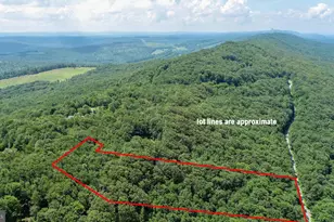 Lot 7 Backbone Ridge Rd, Oakland, MD 21550 - Photo 1