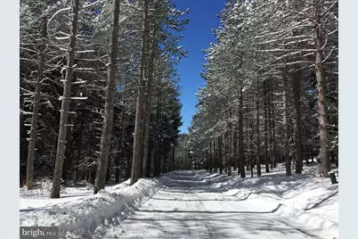 332 High Point Drive, Swanton, MD 21561 - Photo 80