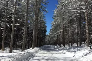 332 High Point Dr, Swanton, MD 21561 - Photo 80