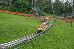 332 High Point Dr, Swanton, MD 21561 - Photo 64