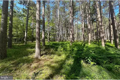 Lot 25 Holy Cross Drive, Oakland, MD 21550 - Photo 16