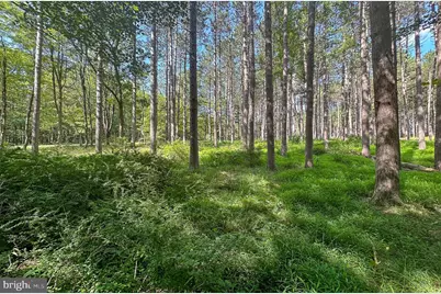 Lot 25 Holy Cross Drive, Oakland, MD 21550 - Photo 6