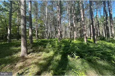 Lot 25 Holy Cross Drive, Oakland, MD 21550 - Photo 14