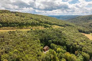 2228 Hoyes Run Rd, Mc Henry, MD 21541 - Photo 28