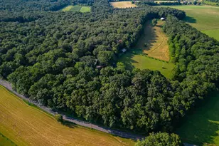 1720 Pysell Crosscut Rd, Oakland, MD 21550 - Photo 98