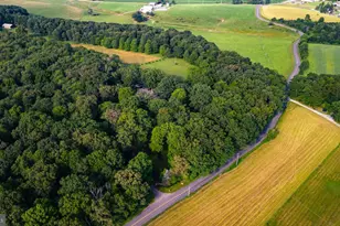 1720 Pysell Crosscut Rd, Oakland, MD 21550 - Photo 100