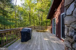 189 Deer Run Ln, Swanton, MD 21561 - Photo 40