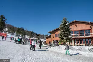 290 Marsh Hill Rd, Mc Henry, MD 21541 - Photo 42