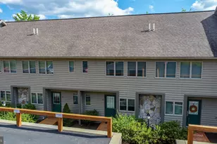 257 Marsh Hill Rd, Mc Henry, MD 21541 - Photo 60