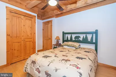 34 Shingle Camp Terrace, Mc Henry, MD 21541 - Photo 16