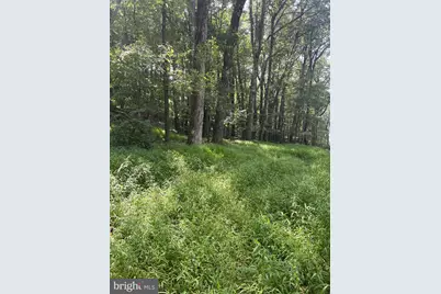 Santa Fe Trail, Oakland, MD 21550 - Photo 4