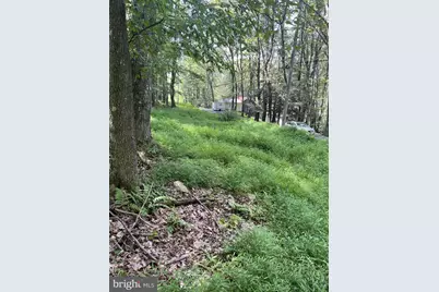 Santa Fe Trail, Oakland, MD 21550 - Photo 2