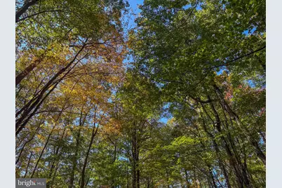 9 Timber Falls Road, Oakland, MD 21550 - Photo 8