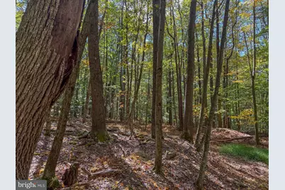 9 Timber Falls Road, Oakland, MD 21550 - Photo 6