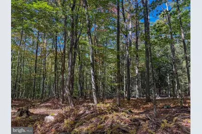 9 Timber Falls Road, Oakland, MD 21550 - Photo 12