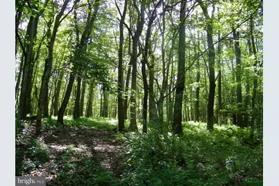 Longview Lane, Oakland, MD 21550 - Photo 1