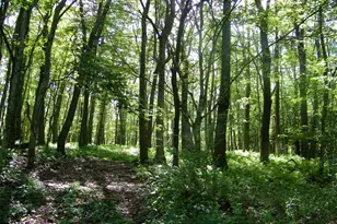 Longview Ln, Oakland, MD 21550 - Photo 1