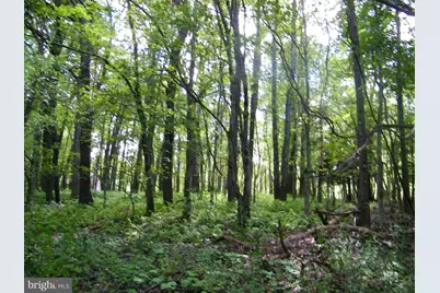 Longview Lane, Oakland, MD 21550 - Photo 6