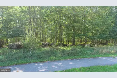 65 Sundance Way, Mc Henry, MD 21541 - Photo 4