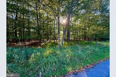 60 Sundance Way, Mc Henry, MD 21541 - Photo 2