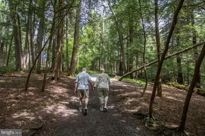 336 Paradise Heights, Oakland, MD 21550 - Photo 78