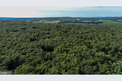 Limpopo Lane, Mc Henry, MD 21541 - Photo 10